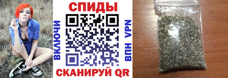 Купить где  Шагонар  Бутират бутик 