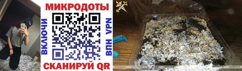 Купить  Шагонар  Псилоцибиновые грибы прущие грибы 