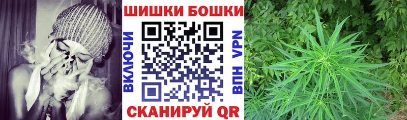 Канабис Amnesia  Купить  Шагонар 